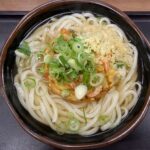 sanuki udon noodles
