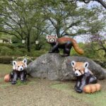 road trip in sabae city