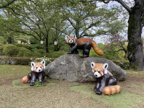 road trip in sabae city