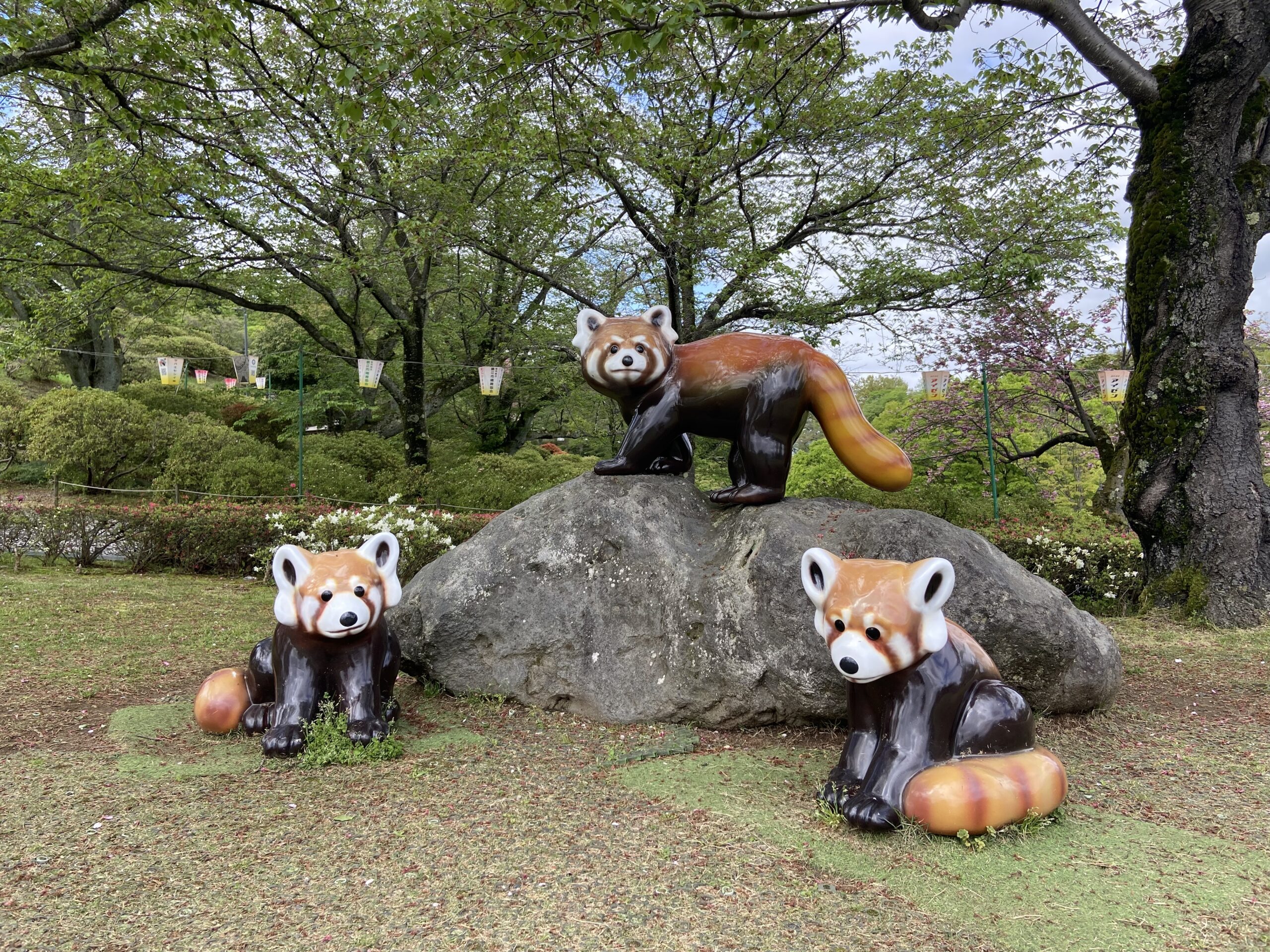road trip in sabae city