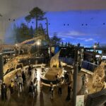 Museum of Dinosaurs