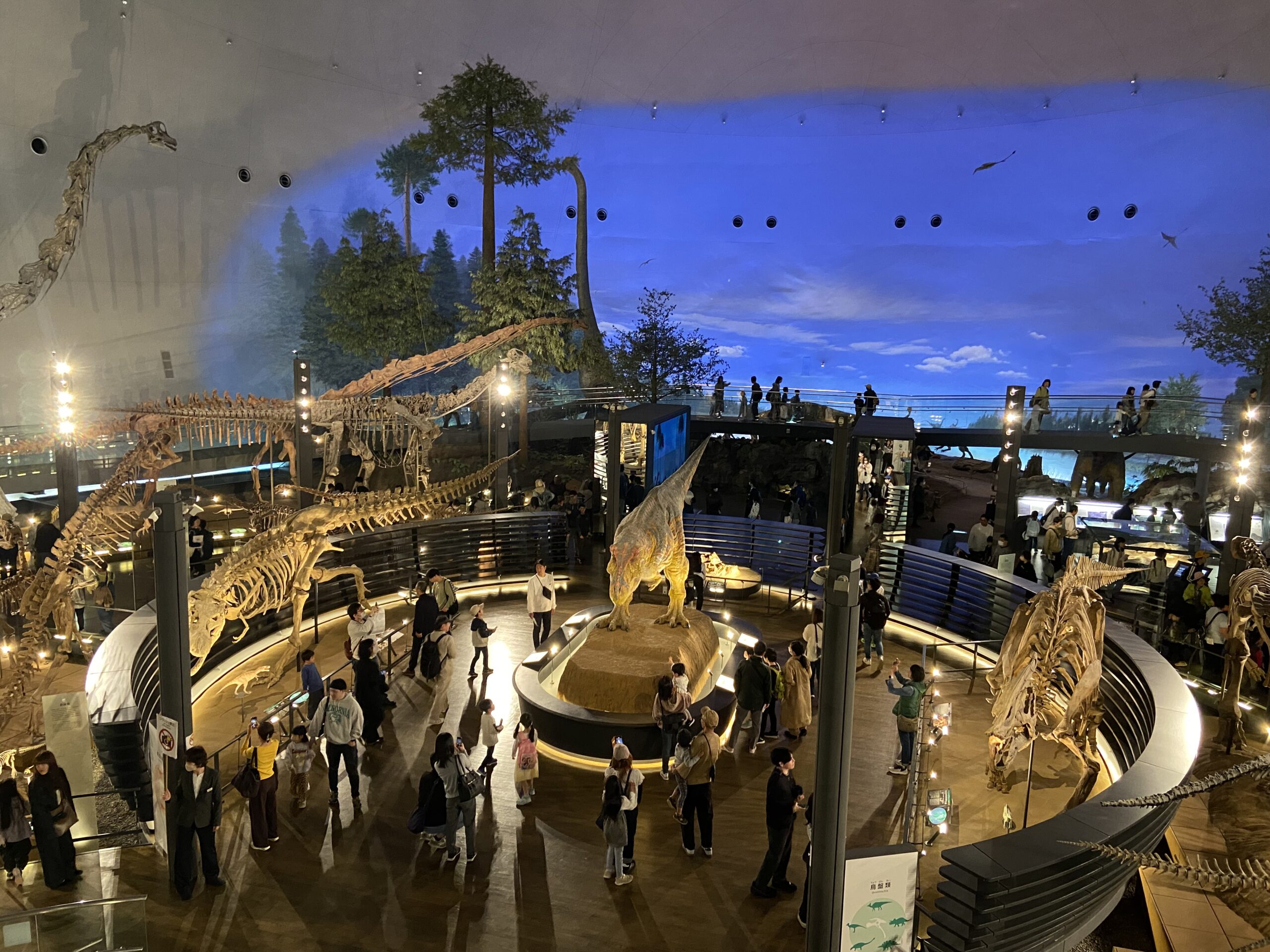 Museum of Dinosaurs
