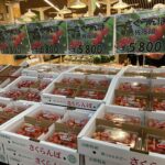 road trip in yonezawa