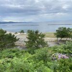 road trip in noheji town