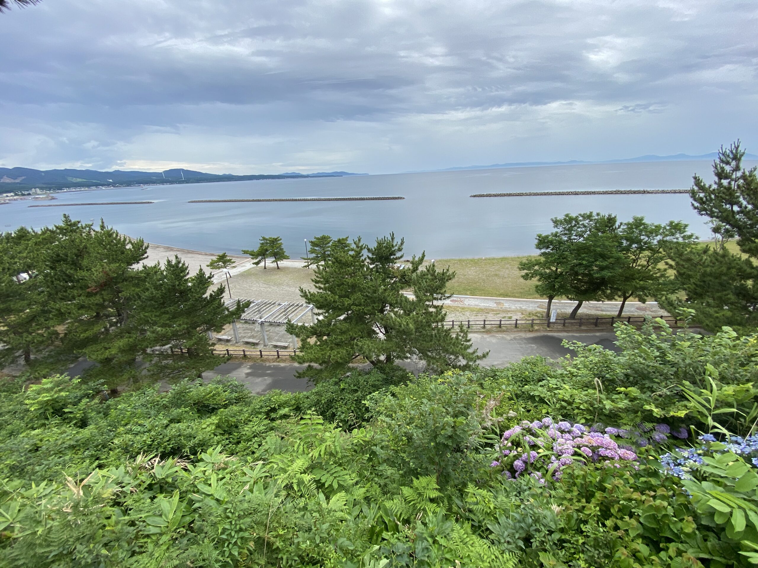 road trip in noheji town