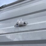 door stopper