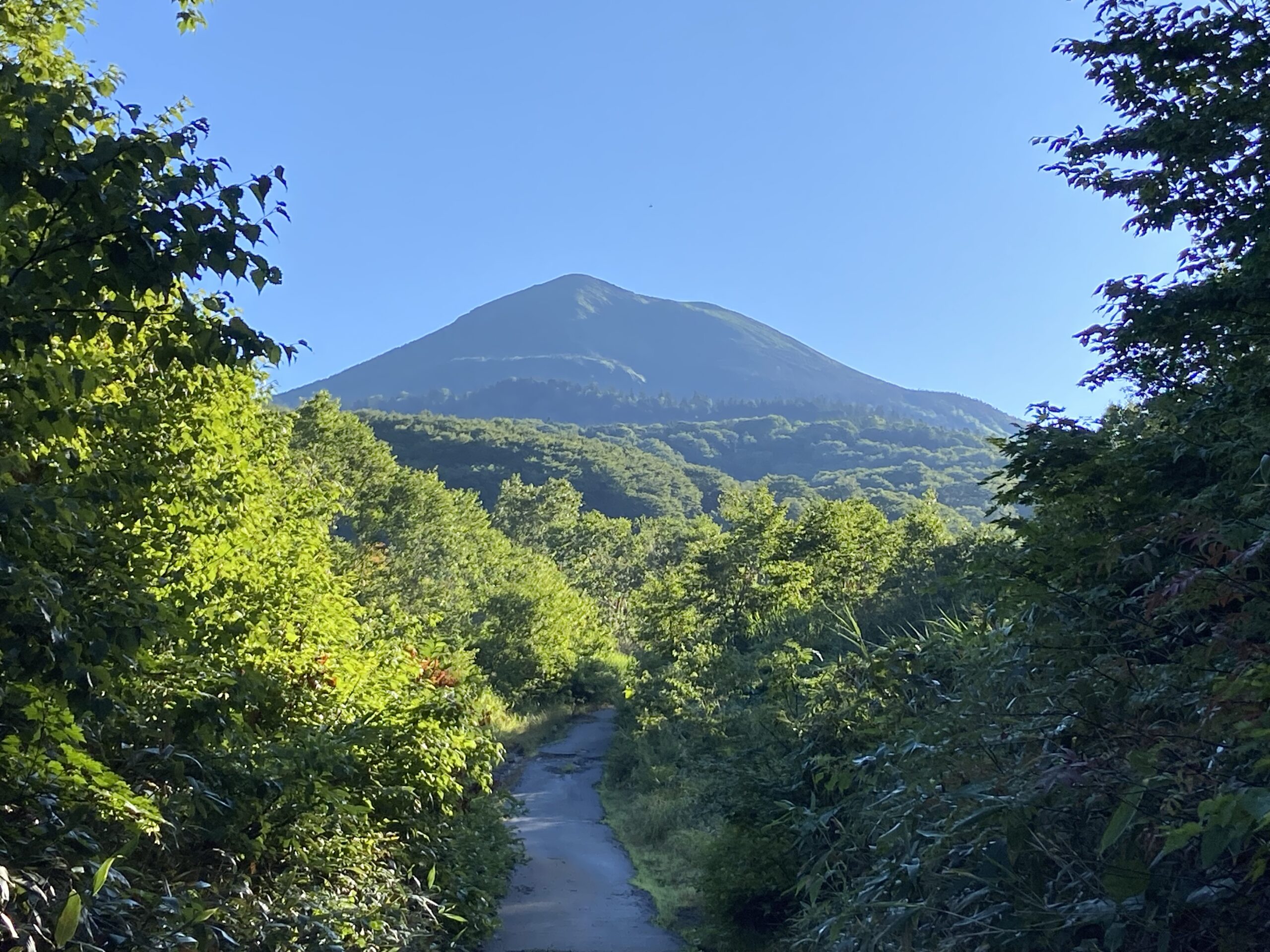 mt hakkouda road trip