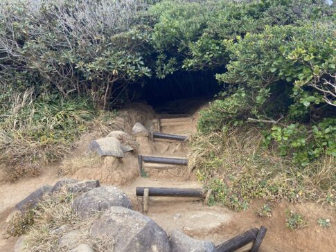 itoshima city road trip