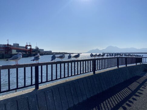 road trip in nagasu town