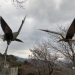 road trip in izumi city