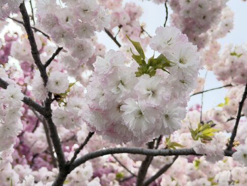 road trip in shibukawa