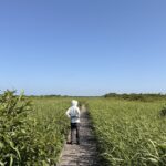 road trip in horonobe town