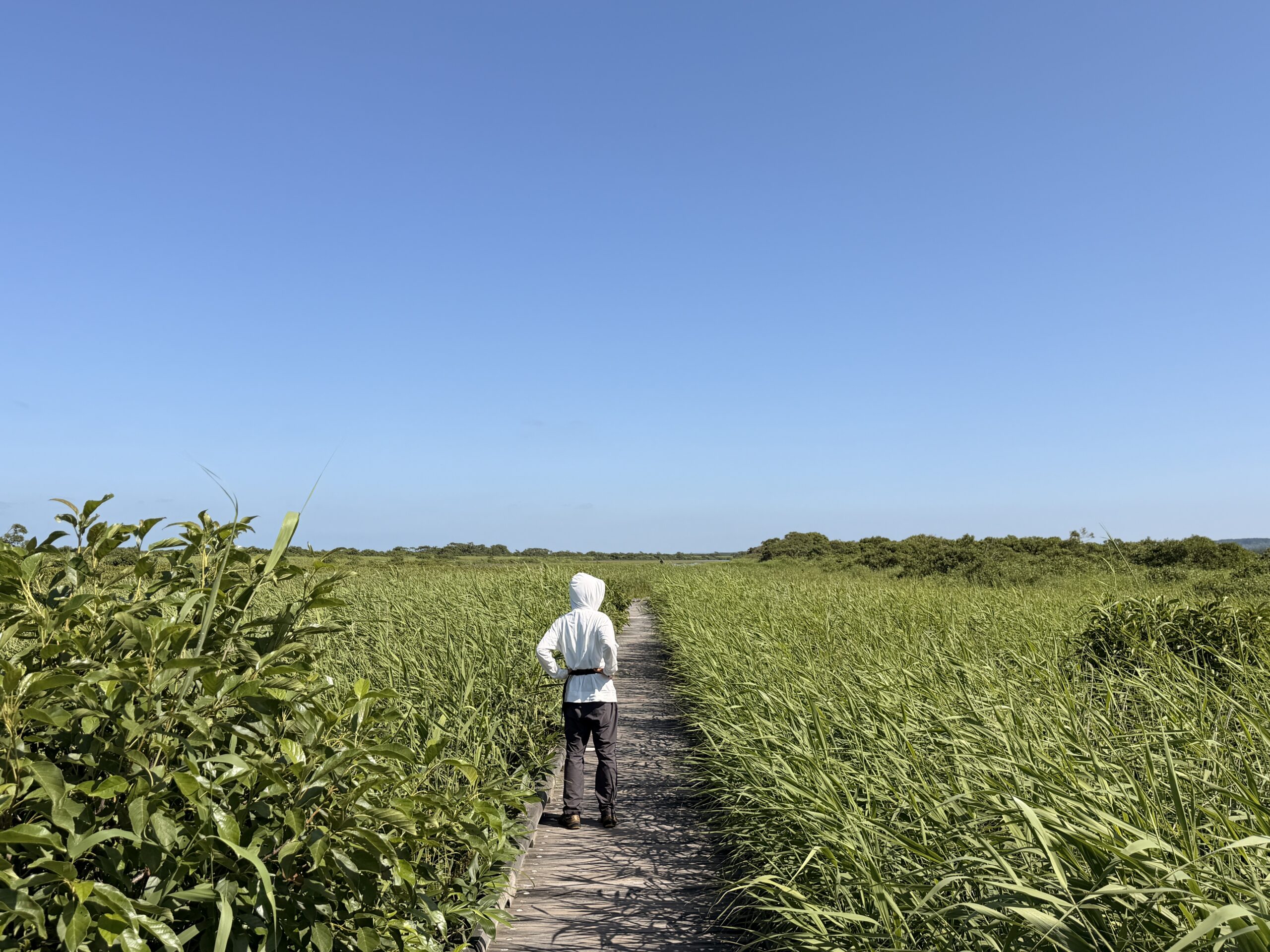 road trip in horonobe town