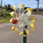 road trip in yuza town